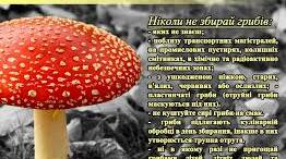 Їстівні та неїстівні гриби