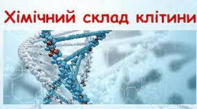 Хімічний склад клітини та біологічні молекули