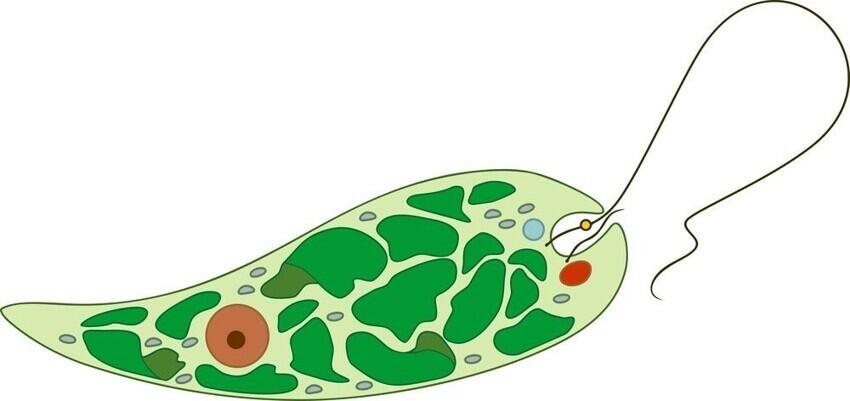 0400hn4e-bc89-850x401.jpg