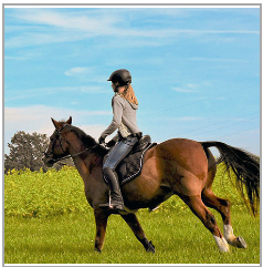 0400hnhn-189d-238x241.png