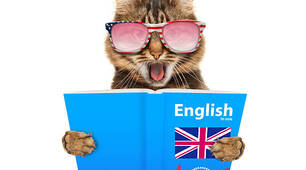 Use of english 