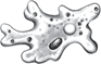 0400hqnd-0610-93x59.png