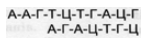 0400hqxm-9881-168x40.png