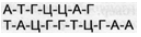 0400hqz3-c450-141x37.png