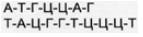 0400hqzj-ddbc-143x37.png