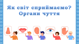 Інтерактивна  дидактична гра "Органи чуття"