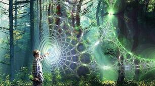 Nature Magic. Web of life