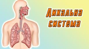 Самостійна з теми "Дихання"