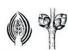 0400i0yk-ef11-236x174.jpg