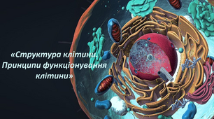 Структура клітини. Принципи функціонування клітини