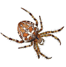 0400i16f-b581-135x138.png