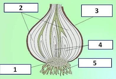 0400i2ho-0466-393x267.jpg