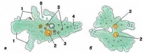 0400i4nn-d529-499x184.jpg
