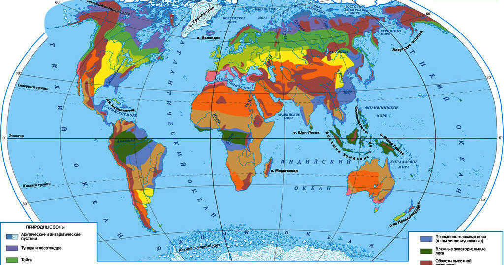 Какая природная зона земли изображена на фото Природні зони. Материки Тест на 10 запитань. Я досліджую світ