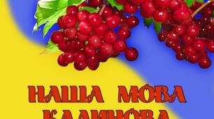 М'який знак. Правила вживання знака м'якшення.