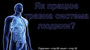 Презентація до уроку Я досліджую світ - Як працює травна система людини? (3 клас)