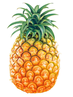 0400i7vl-2389-236x312.png