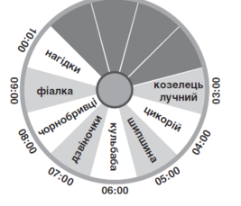0400i9en-8ecd-267x229.png