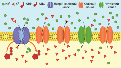 0400iaqb-8ba2-423x239.png