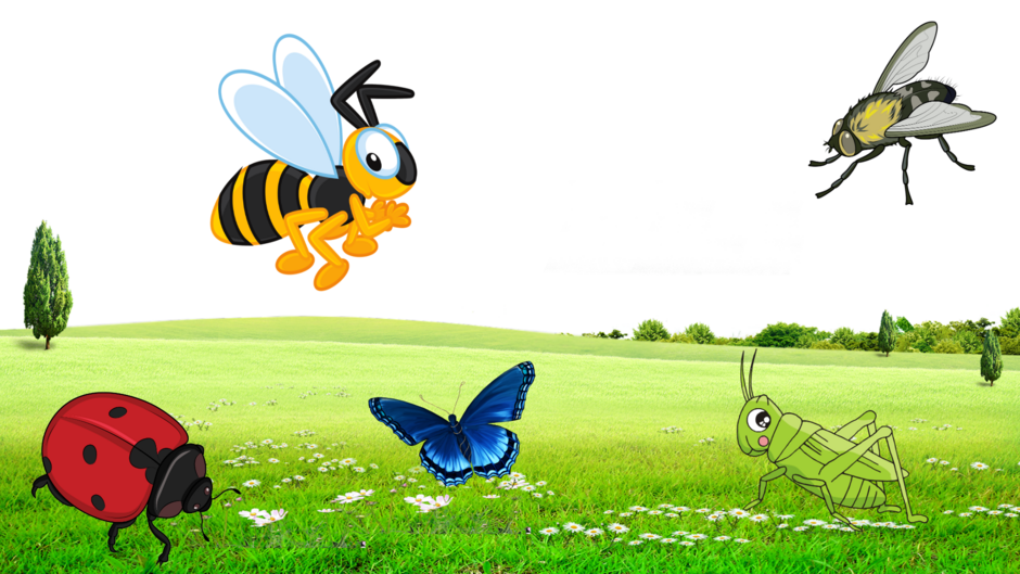 0400if8c-1876-940x529.png