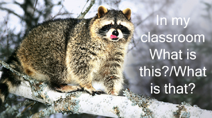 Презентація "In my classroom. What is this? / What is that?"