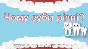 Презентація до уроку Я досліджую світ - Чому зуби різні? (3 клас)