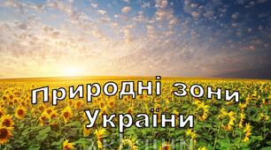 Методична розробка "Лепбук Природні зони України"