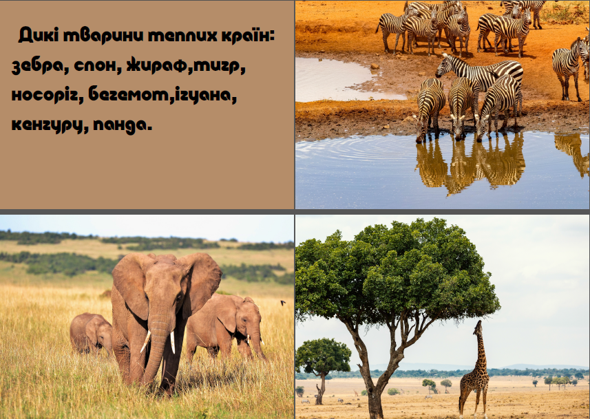 0400ioxf-bd68-857x609.png