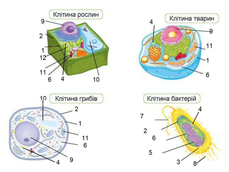 0400ipa1-0b99-940x705.png