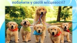 Презентація "Як тварини впливають на природу землі?"