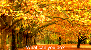 Презентація "What can you do? On, in, under, behind"