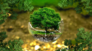9th grade. . NATURE AND THE ENVIRONMENT.