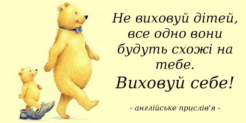 0400iw3m-d194-800x400.jpg