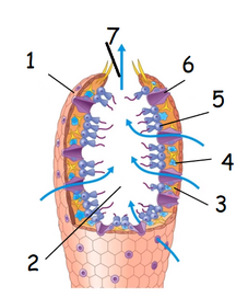 0400j0es-76e5-227x272.png