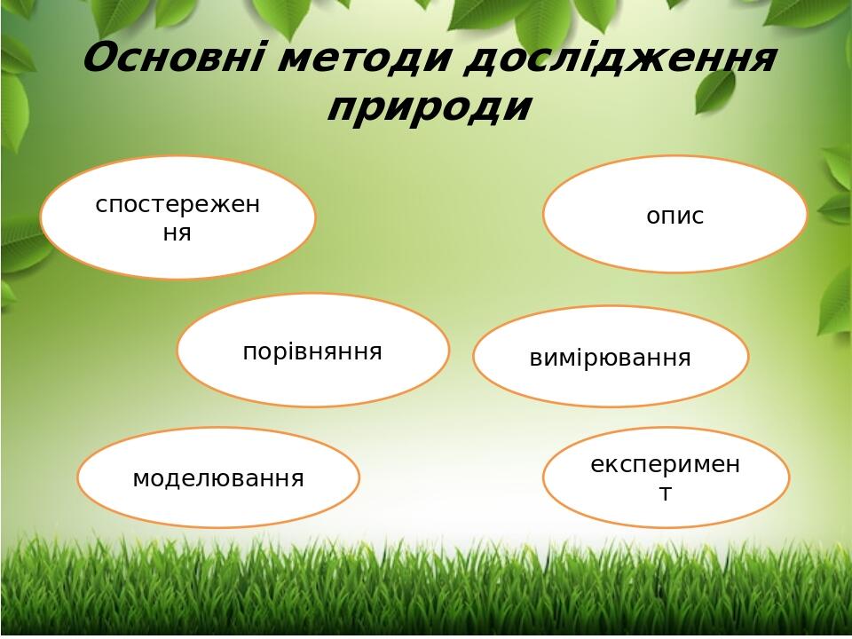 Основні методи дослідження природи | Презентація. Біологія