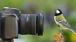 Основні методи дослідження природи
