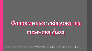 Фотосинтез: світлова та темнова фаза