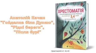 Презентація до уроку Літературне читання Анатолій Качан "Гойдалка біля Дунаю", "Рідні береги", "Після бурі"