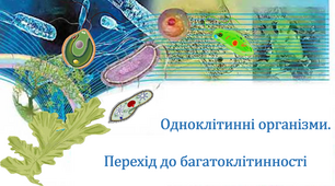 Одноклітинні організми. Перехід до багатоклітинності