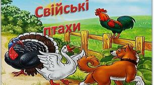 Відео -заняття: Ознайомлення з довкіллям "Свійські птахи"