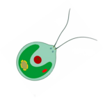 0400jlpx-3ef3-148x141.png