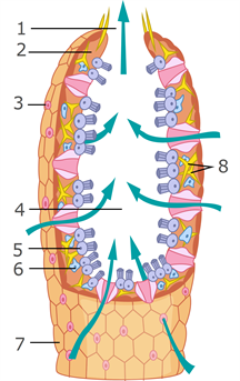 0400jm8p-37a5-216x343.png