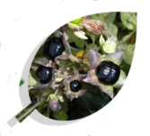 0400jn6t-4eb4-167x151.png