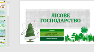Презентація до уроку географії у 9 класі на тему «Лісове господарство».