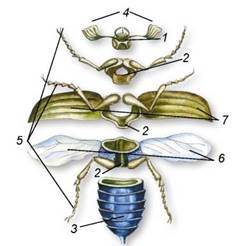 0400judg-d43a-303x313.jpg