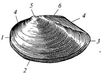0400juln-17cd-332x243.png