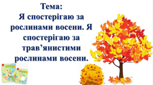 Я спостерігаю за рослинами восени. Я спостерігаю за трав’янистими рослинами восени. І. О. Большакова, М. С. Пристінська. Я досліджую світ. 2 клас