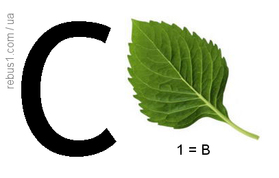 0400jvs9-496c-407x260.png