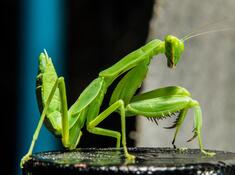 0400jy9v-4d08-235x175.jpg