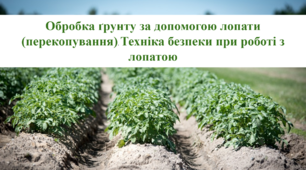 Обробка ґрунту за допомогою лопати (перекопування). Техніка безпеки при роботі з лопатою. Трудове навчання (Квіткарництво) 7 клас